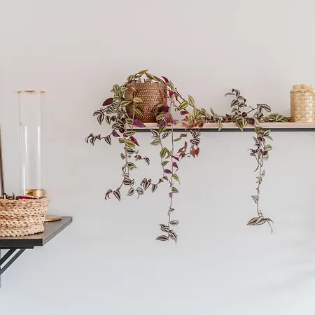 Le Nantais - Wifi - Parking *